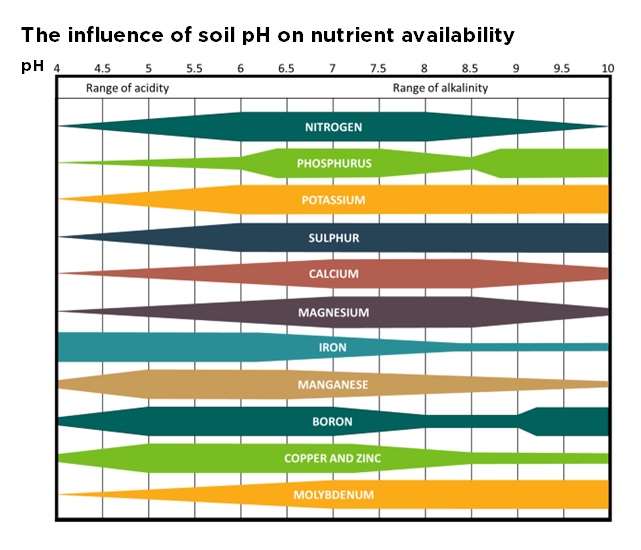 pH measures